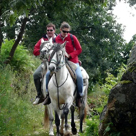 Resort Cabanas-bungalows-camping 