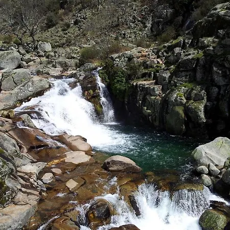 리조트 Cabanas-bungalows-camping 