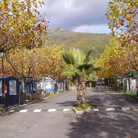 Cabanas-bungalows-camping 