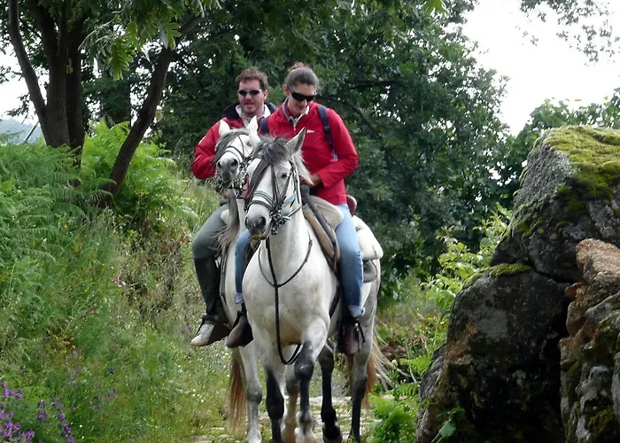 Resort Cabañas-bungalows-camping La Vera 3*