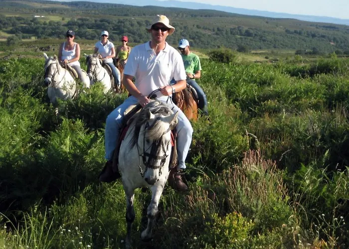 Cabañas-bungalows-camping La Vera Resort 3*