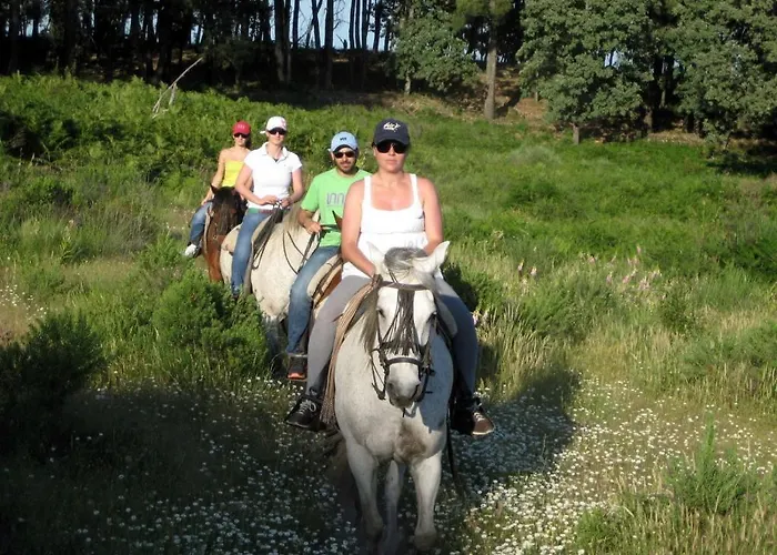 Resort Cabañas-bungalows-camping La Vera